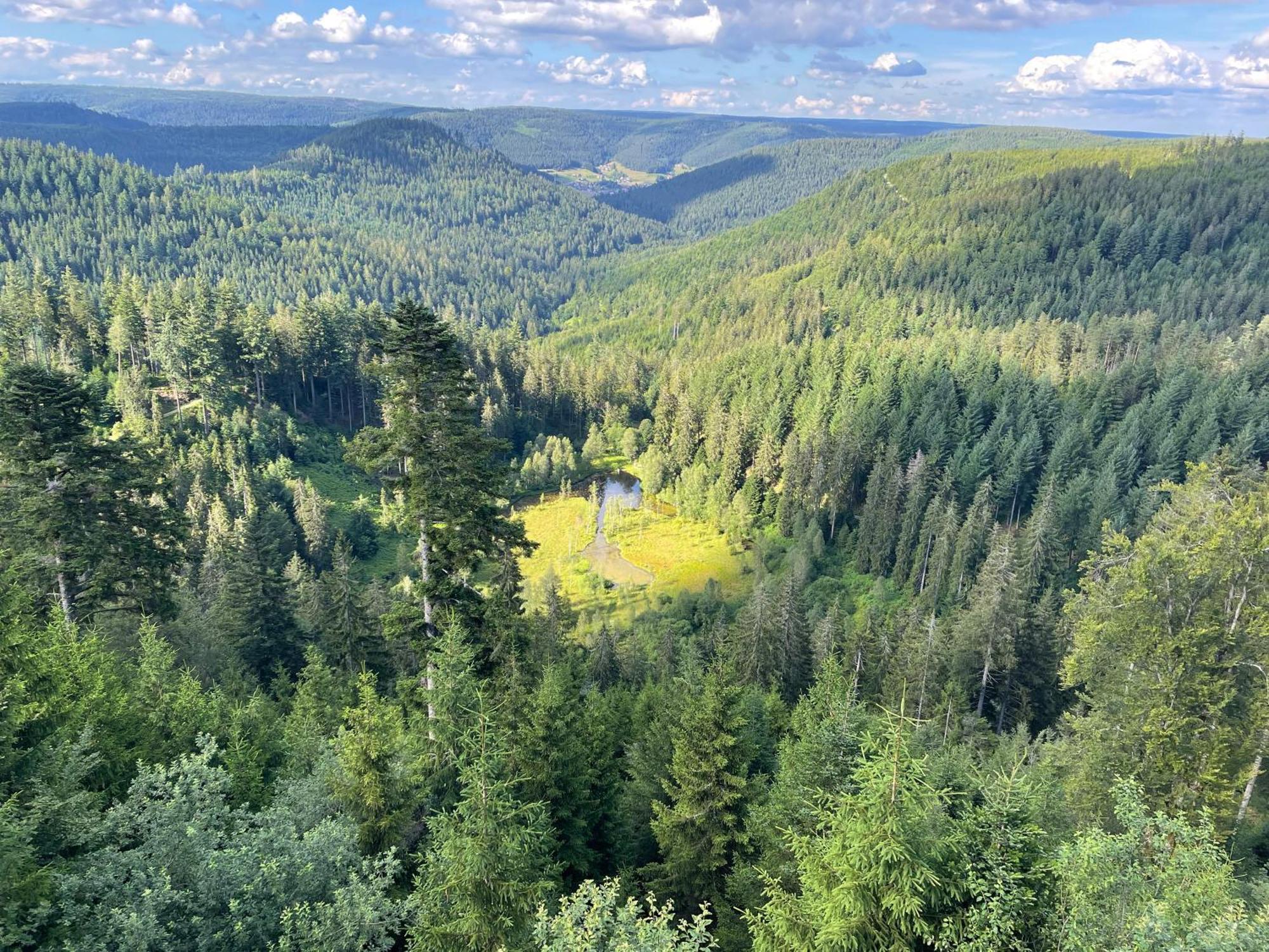 Casa Black Forest - Freudenstadt Kniebis Luaran gambar