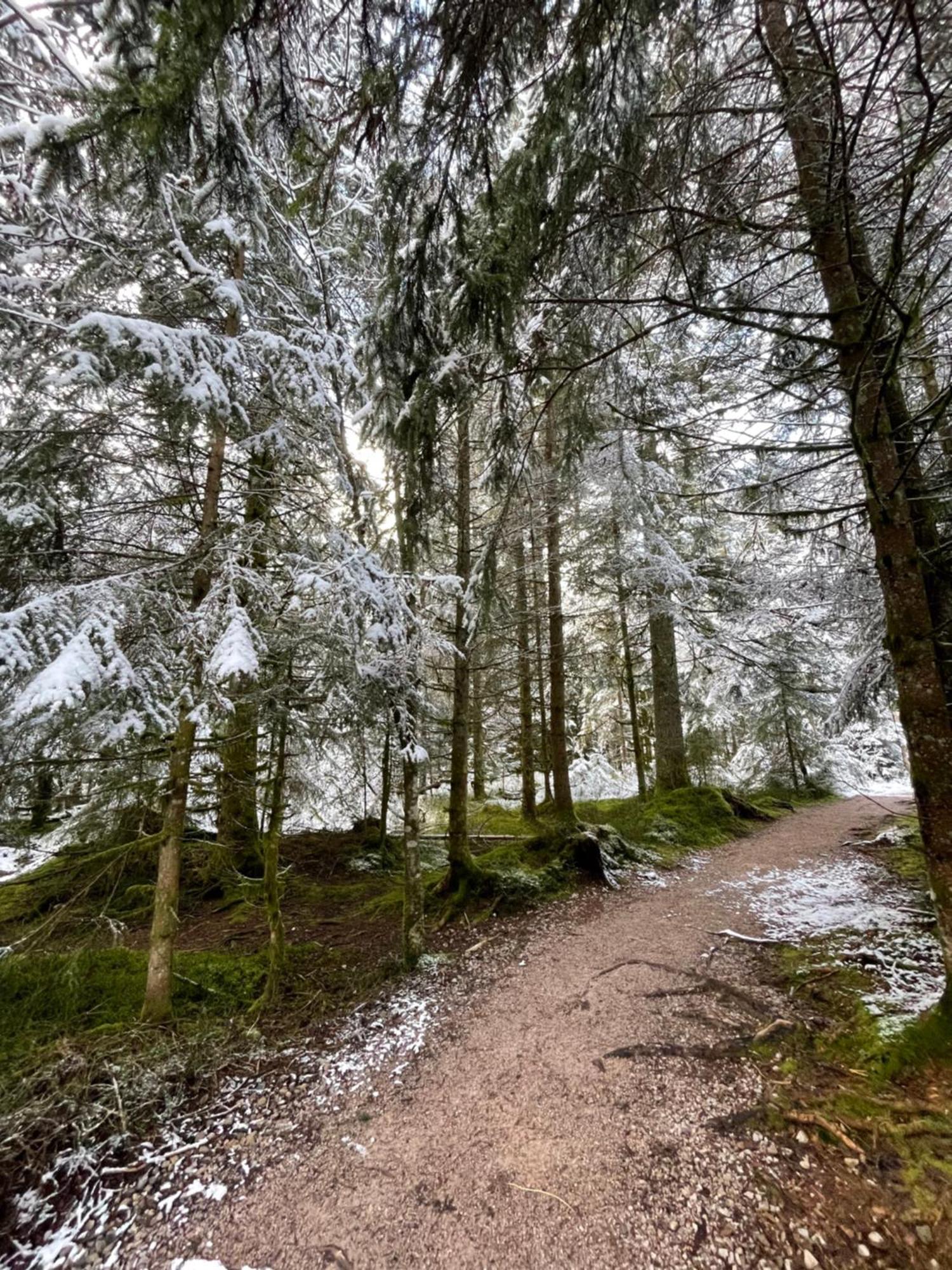 Casa Black Forest - Freudenstadt Kniebis Luaran gambar